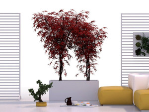 Изготовленный на заказ алюминиевый низкий плантатор