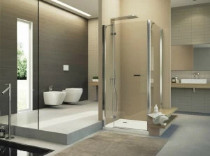 Duka Хрустальная душевая кабина Vertica - con soli profili verticali Gtn2 l