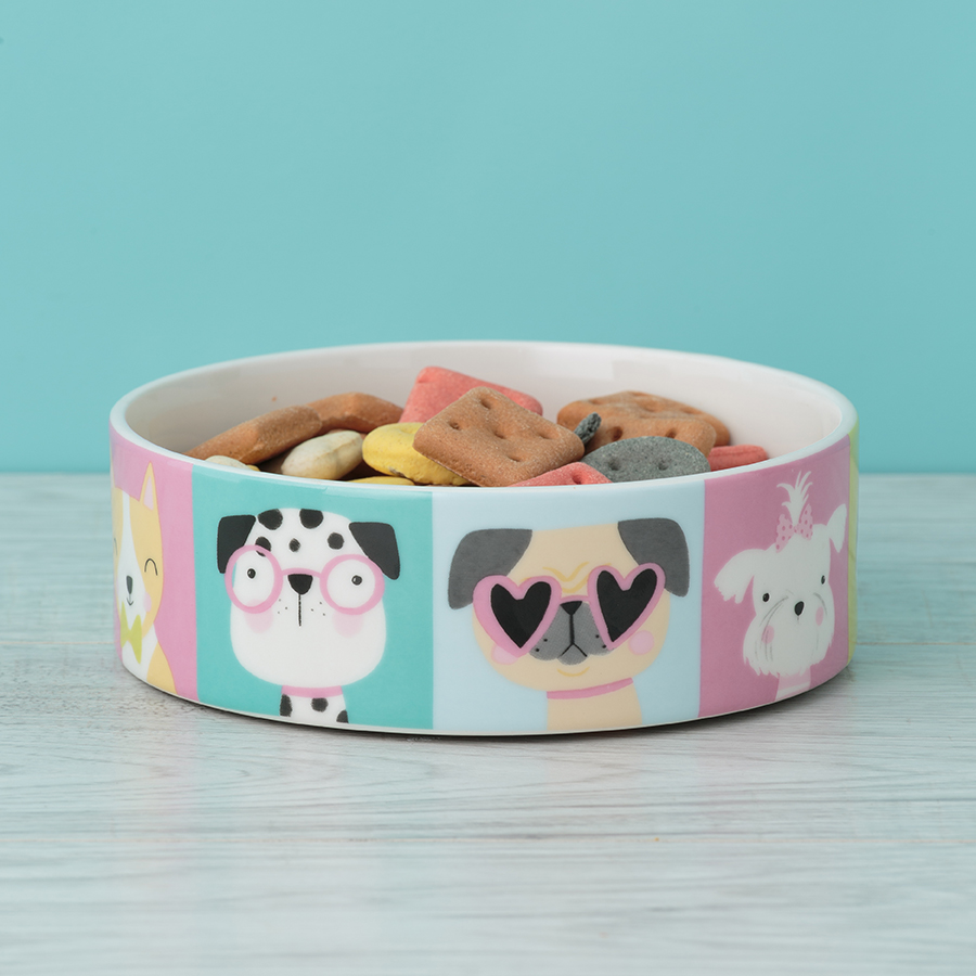 2030.475 Миска для собак pawtrait, D15 см, 600 мл Mason Cash  - Вид №1