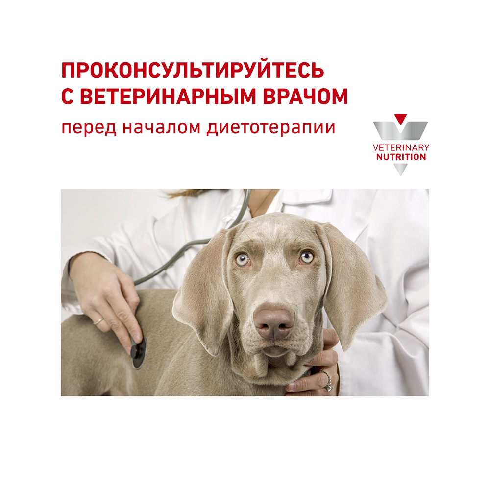 ПР0056393 Корм для собак Vet Diet Cardiac при сердечной недостаточности, птица банка 410г ROYAL CANIN  - Вид №6