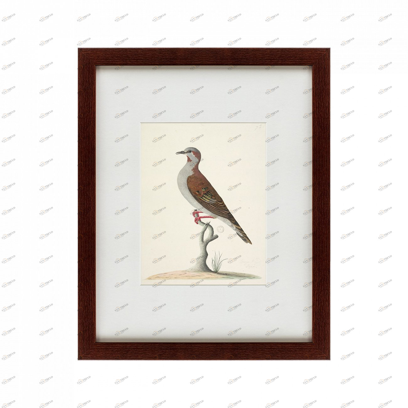 Литография на тонированной бумаге 42х52 см The brown bird КАРТИНЫ В КВАРТИРУ  135728 Белый;коричневый;разноцветный 