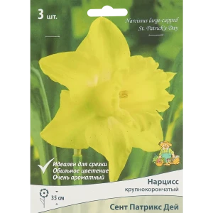 Нарцисс Сент Патрикс Дей от ПОИСК - солнечные луковицы для весеннего сада 85186016