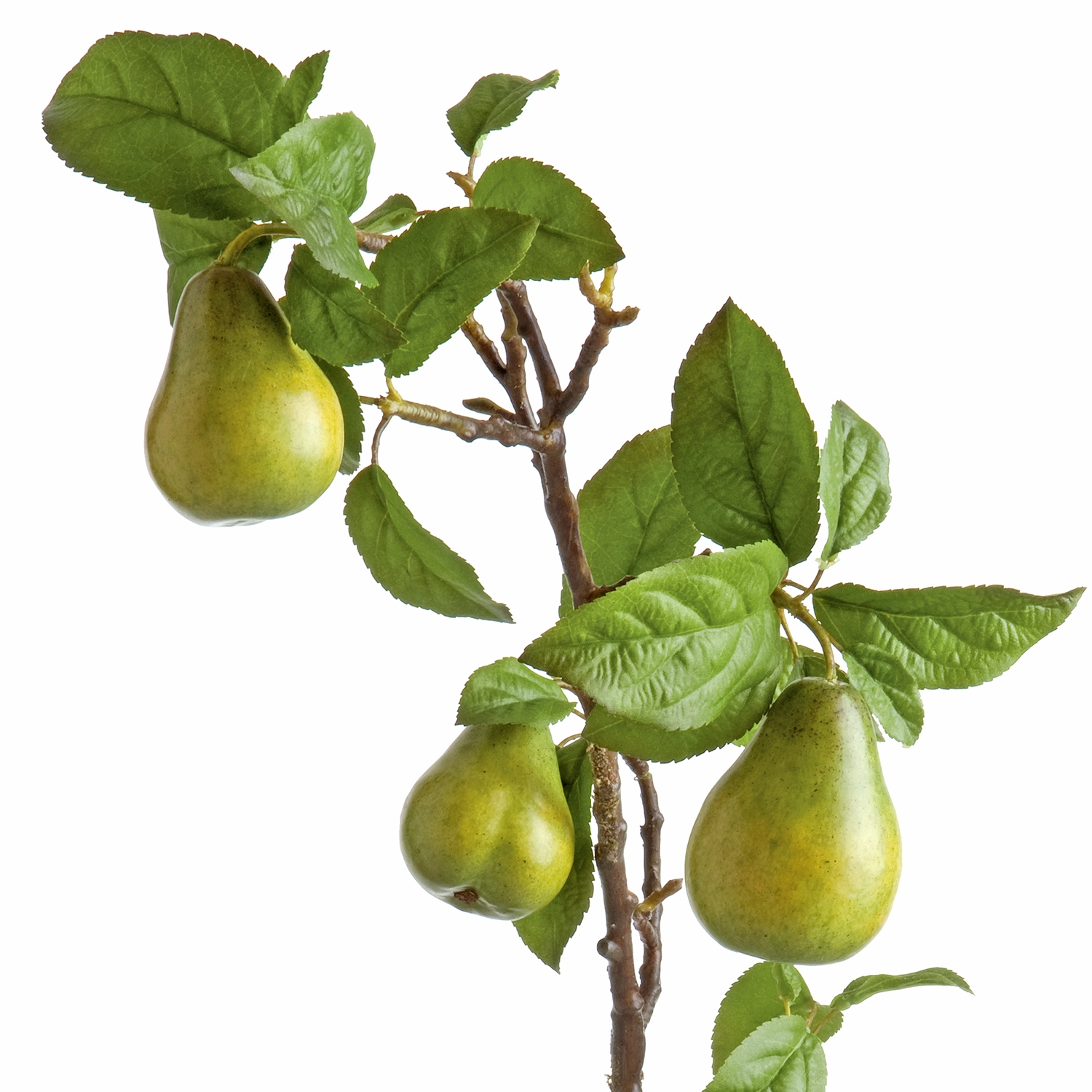 230056-70 ABHIKA ГРУША ФИЛИАЛ GREEN  - Вид №1