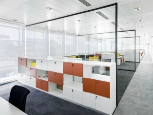 IOC project partners Офисные стеклянные перегородки Split