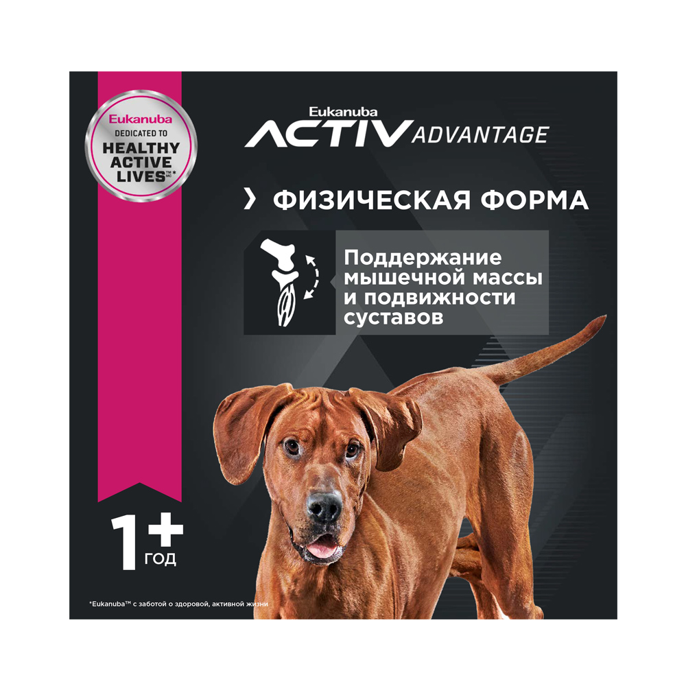 ПР0023010 Корм для собак для крупных пород ягненок, рис сух. 2,5кг Eukanuba  - Вид №3