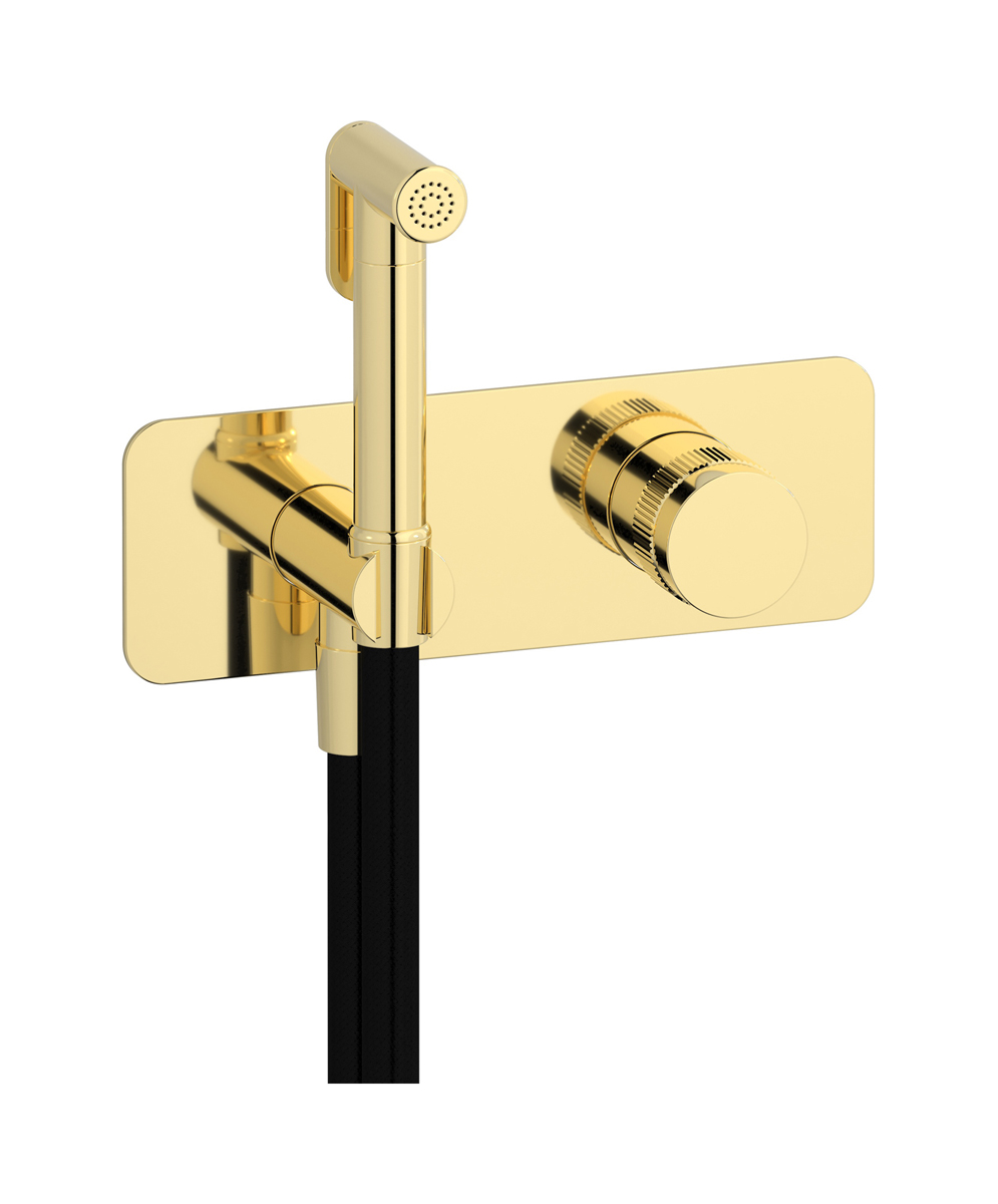 Комплект внешних частей для гигиенического душа с прогрессивным смесителем WE ARE IB rx706ii Pale Gold Reflex