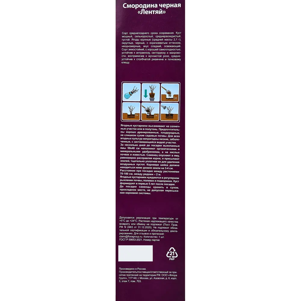 Смородина микс туба h36 см 89353018 STLM-2006873 Santreyd  - Вид №3