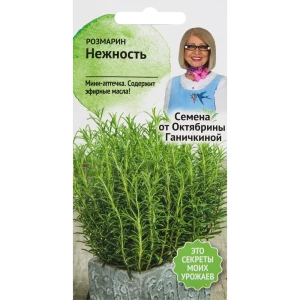 Семена Розмарин «Нежность» 0.05 г 82482210 STLM-2116501