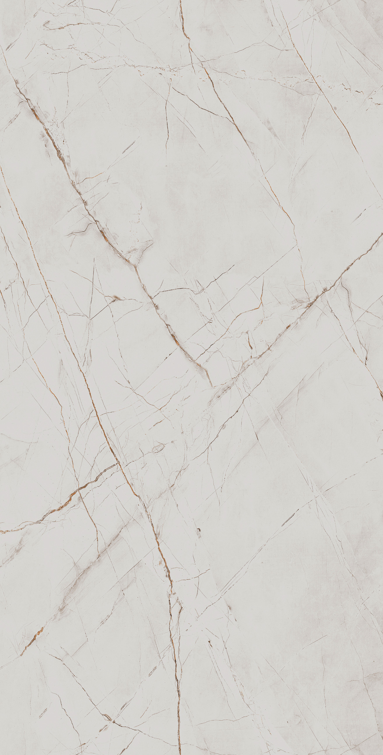Керамогранит VALENCIA SILVER GREY 60х120 Arcadia Ceramica CR4027-A - Вид №4