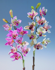 2554 776 a2 Цимбидиум пластиковая орхидея, 9 цветков, 2 бутона, 85 см, бежево-коричневая H-andreas 