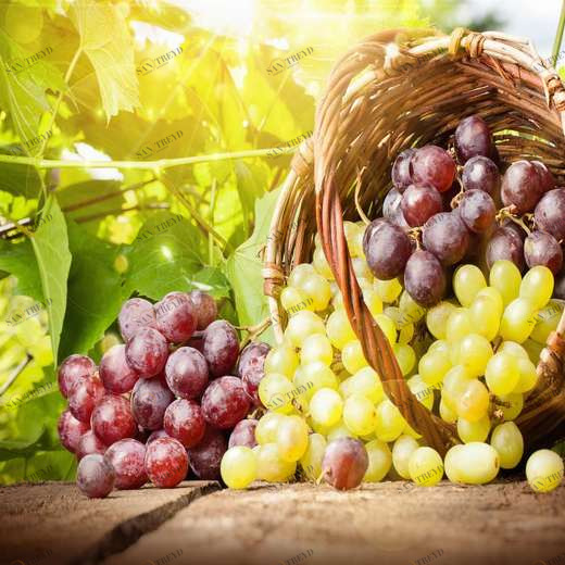 WP00521 Фотообои Verol Фотообои decoline 1х1 м