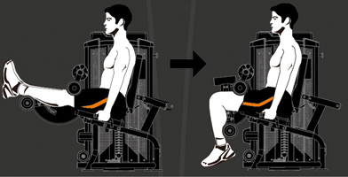 HLE200B Steel flex hope hle200b разгибание ног сидя Steel Flex Hope - Вид №1