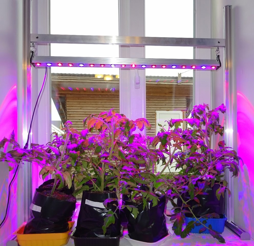 1030 Стойка для фитолампы LAB.Space  - Вид №2