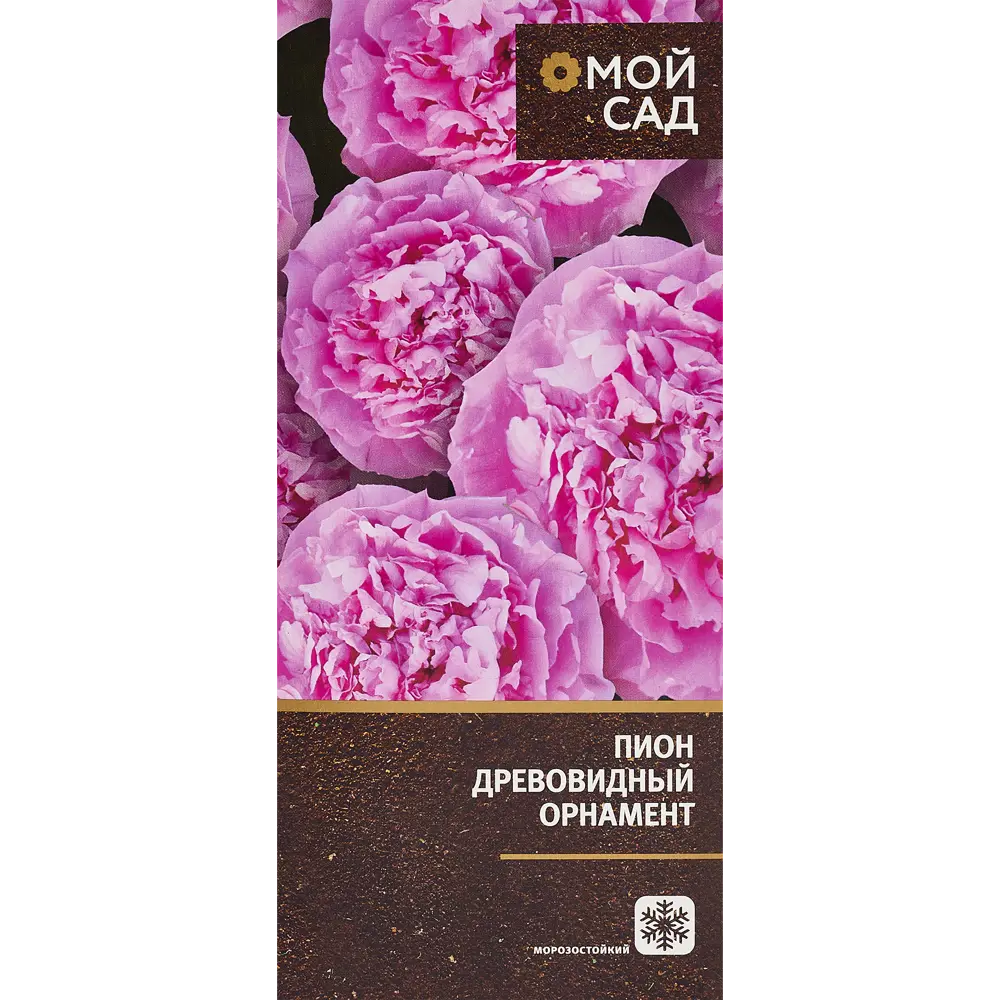 Пион древовидный Орнамент в тубе Цветочный альянс 83761603 STLM-2013573 Santreyd 