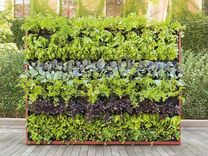 Paola Lenti Зеленая стена sun-id-1410931