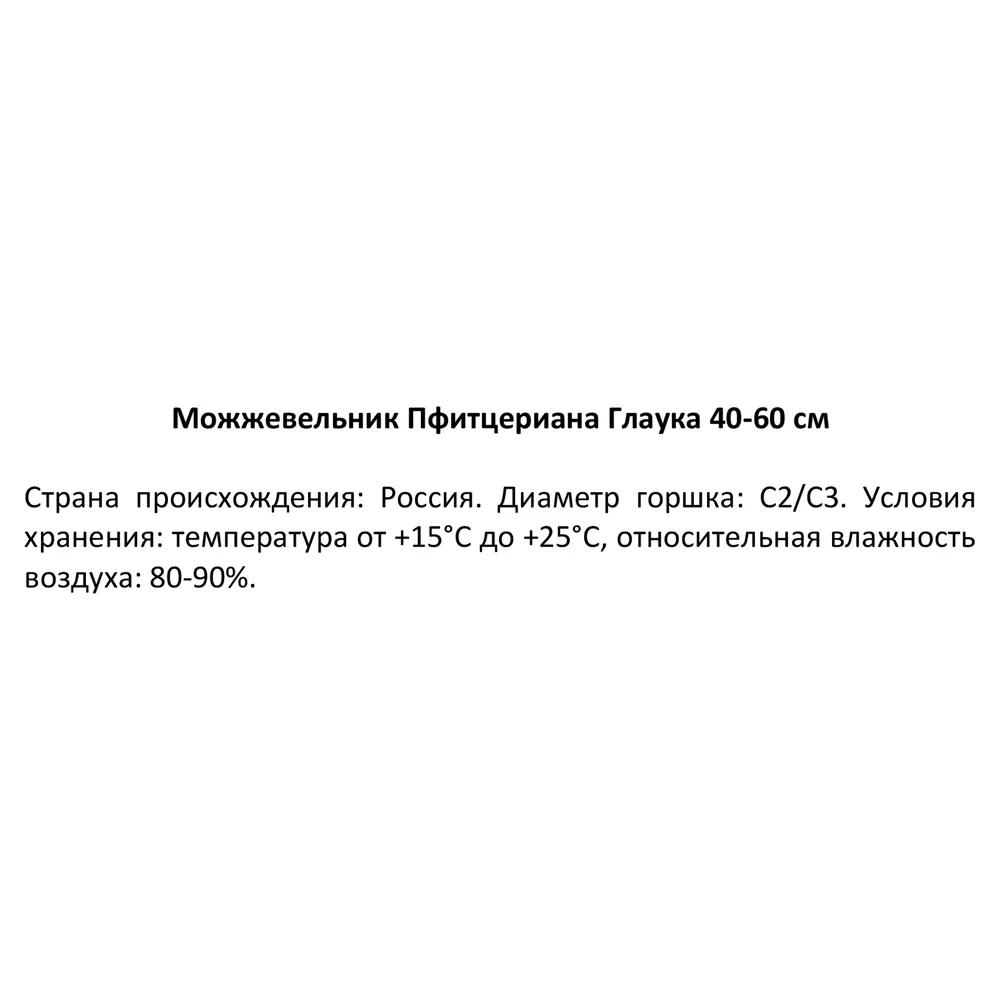 Можжевельник средний Пфицериана Глаука ø19 см h40-60 см 85088123 STLM-2178289 Santreyd  - Вид №2