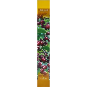 Вишня Харитоновская 9x60 см 83539265 STLM-2103818