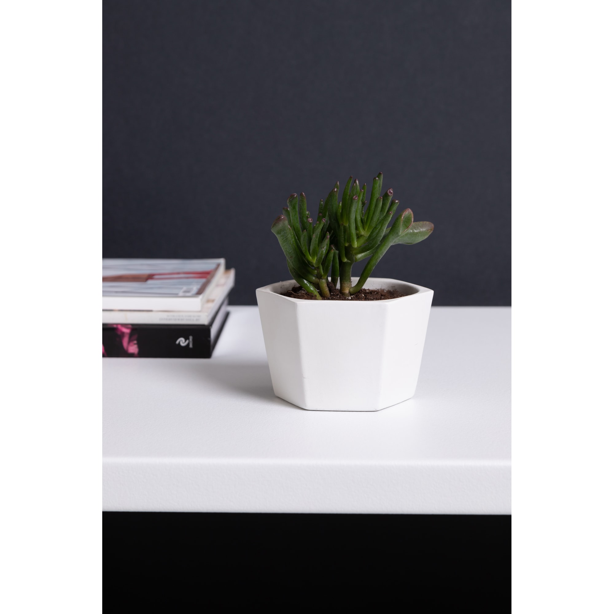 18876035 Кашпо ø14 h9 см v0.75 л керамика белый Эджес Santreyd  - Вид №4