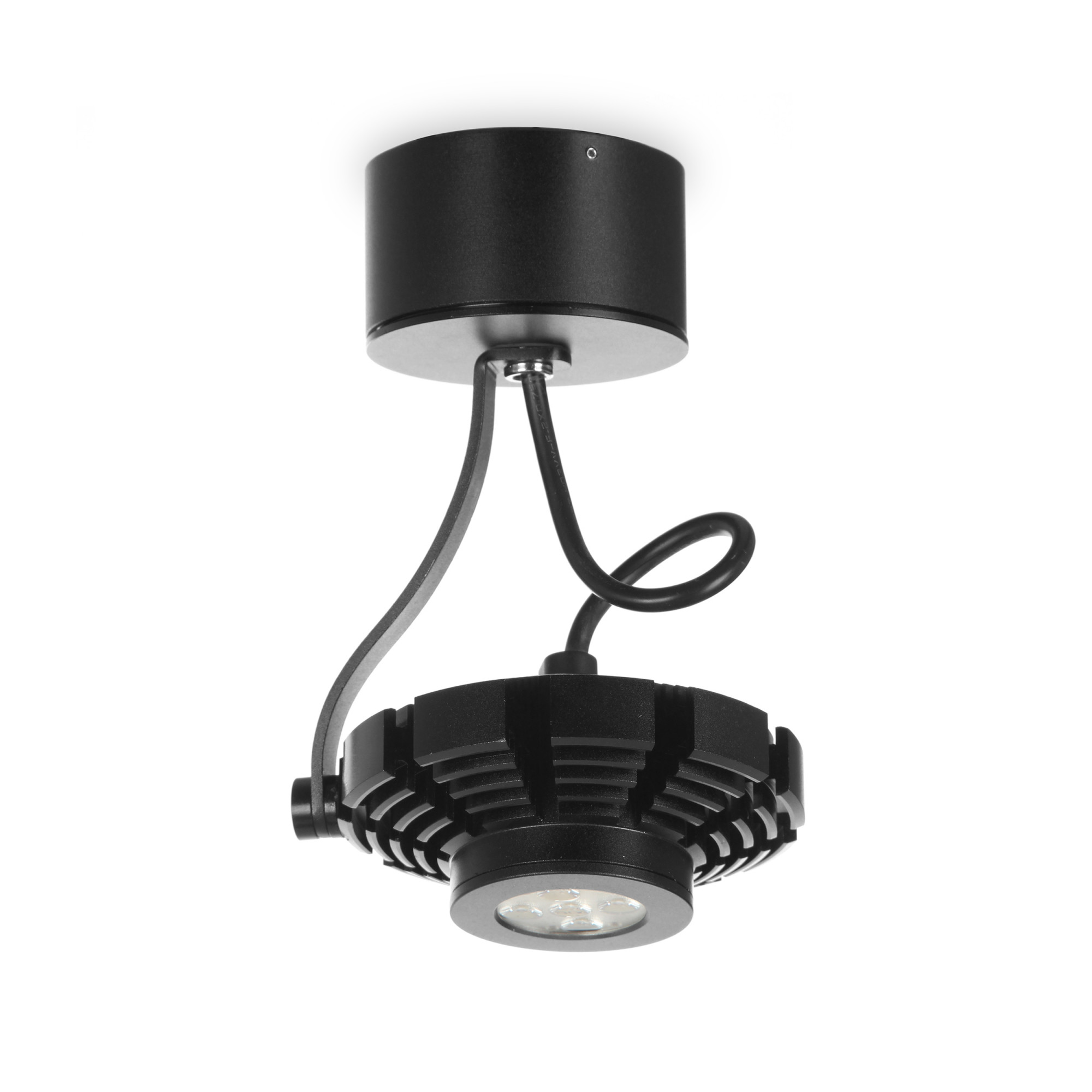 2000000016177 Потолочный светильник 1 лампа ELECTRORETRO Spot Light 