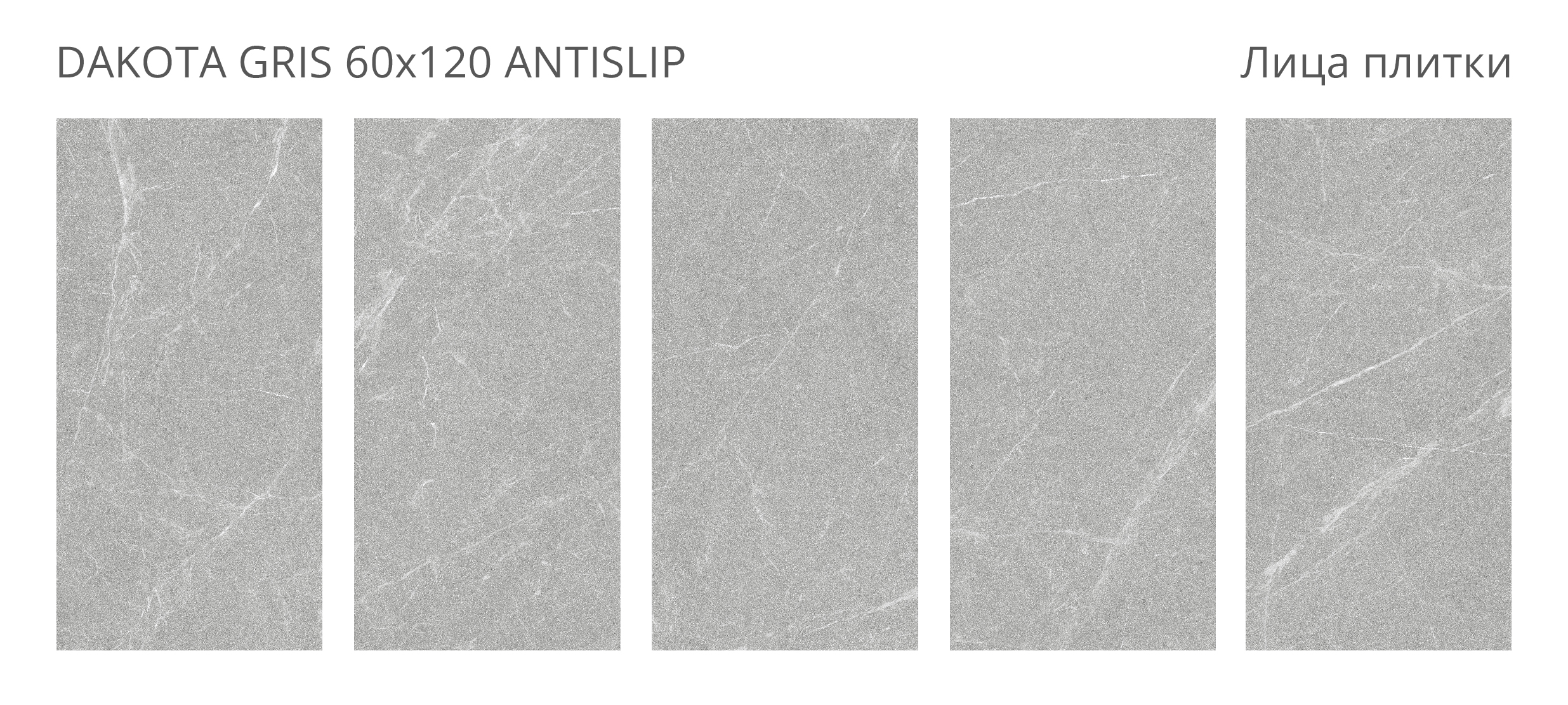 Элегантный керамогранит Staro Antislip – атмосфера уюта и безопасности STP-ST24 INCOLOR Antislip 120 - Вид №1