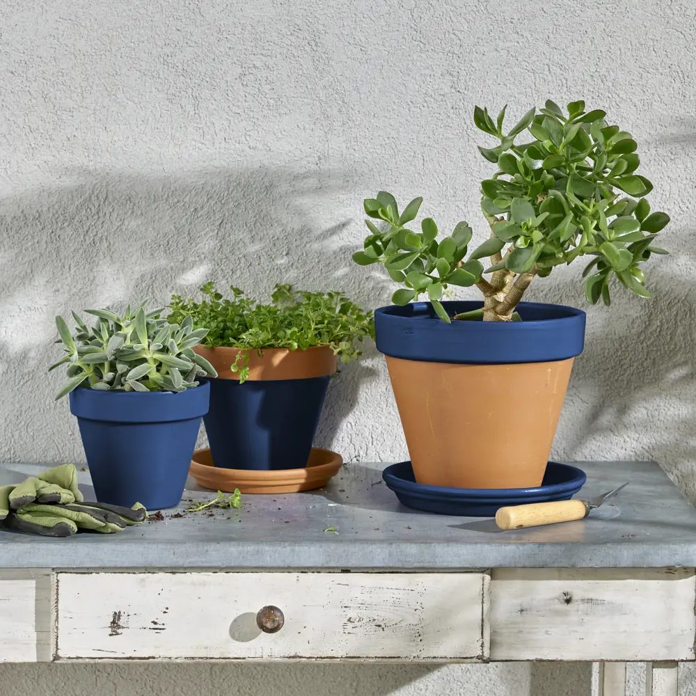 Аэрозольная эмаль Luxens матовая сапфирово-синяя для интерьера и экстерьера 83237387 STLM-0039745 - Вид №5