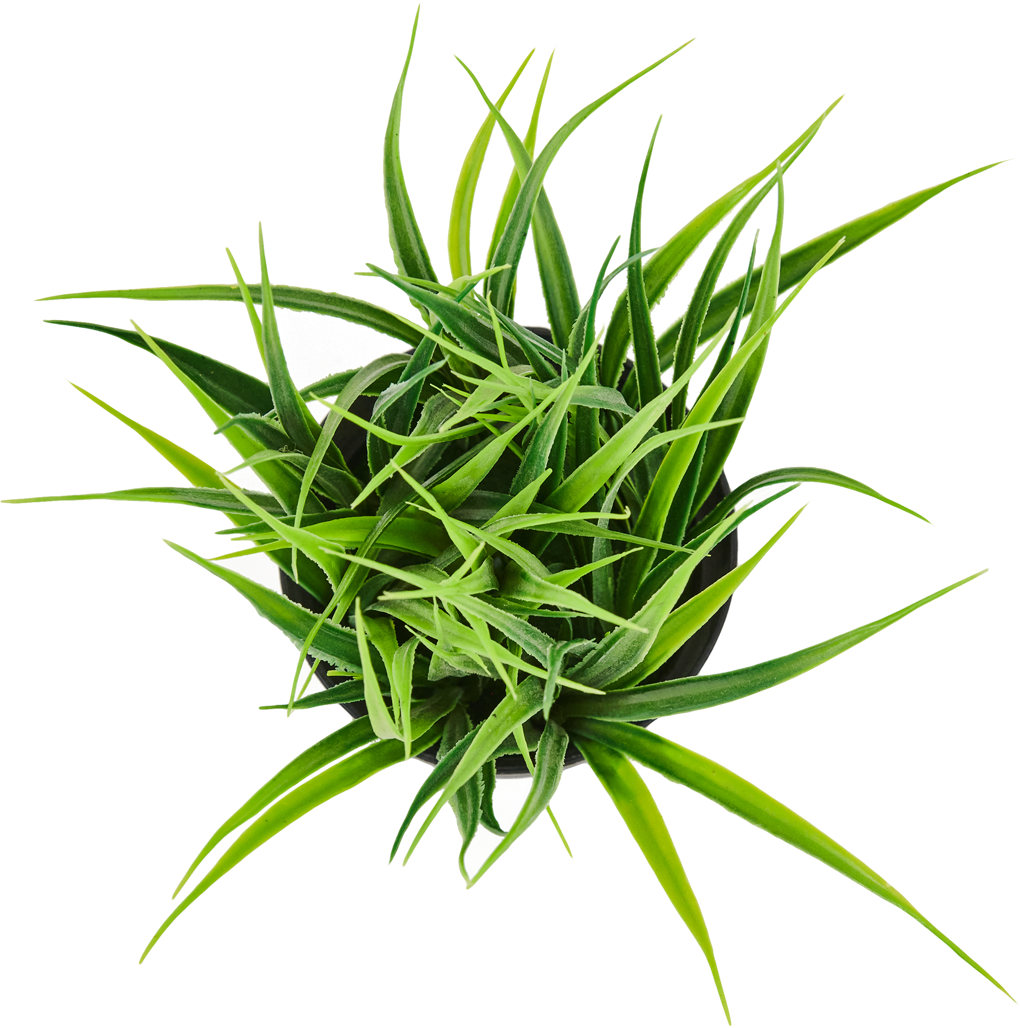 85826014 Искусственное растение Осока в горшке h19 см STLM-0065536 Santreyd  - Вид №1