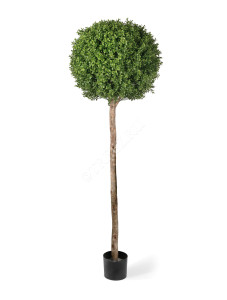 10.44306N Самшиты Шары уличные на высоком стволе Цветочная коллекция