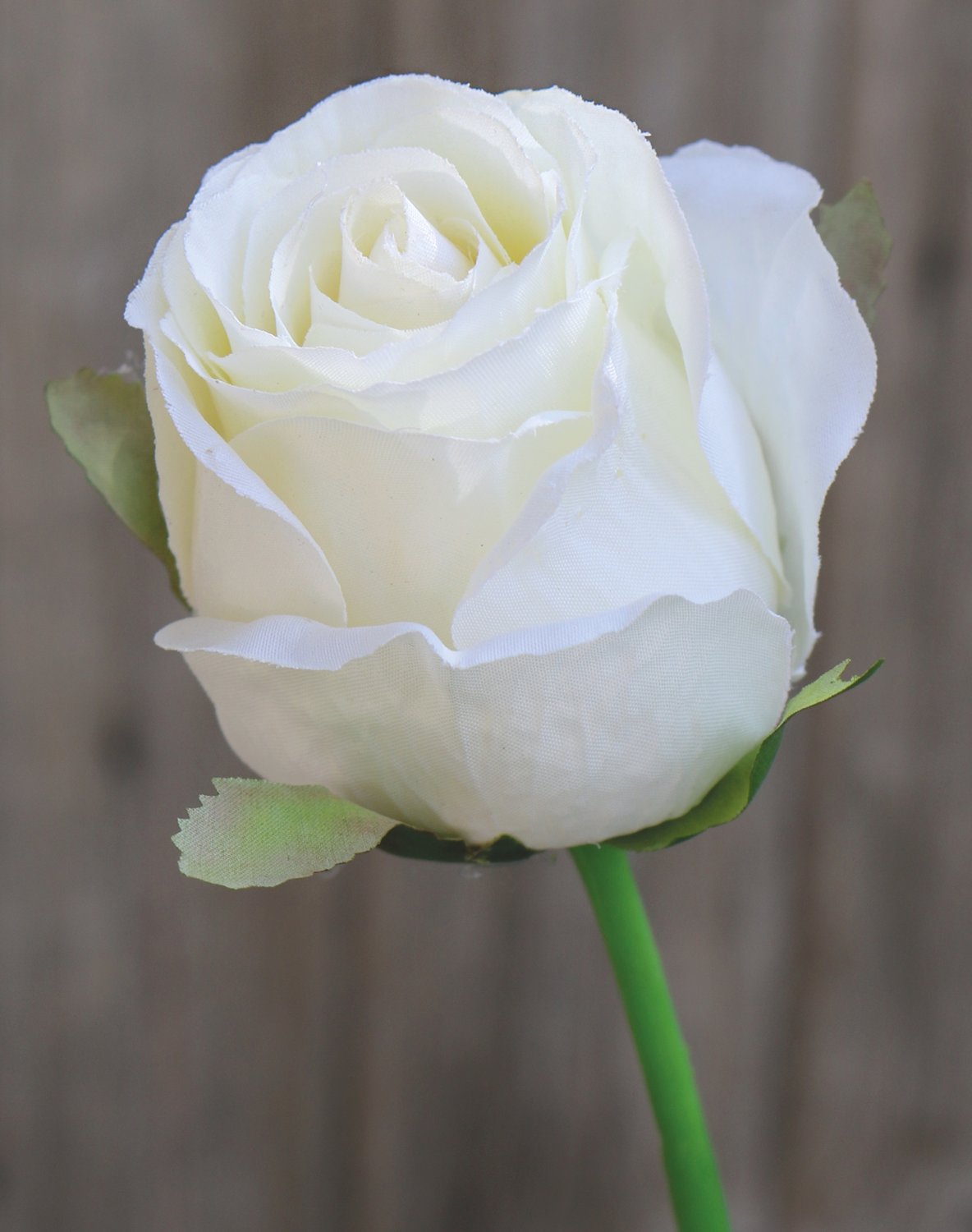 3350 778 a2 Искусственная роза, 58 см, бежево-белая H-andreas  - Вид №1