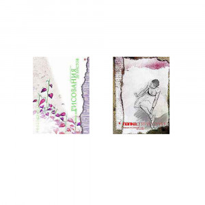 4-20-022 Папка для рисования 150 г/м2 А4 21 х 29.7 см папка 20 л. Альт