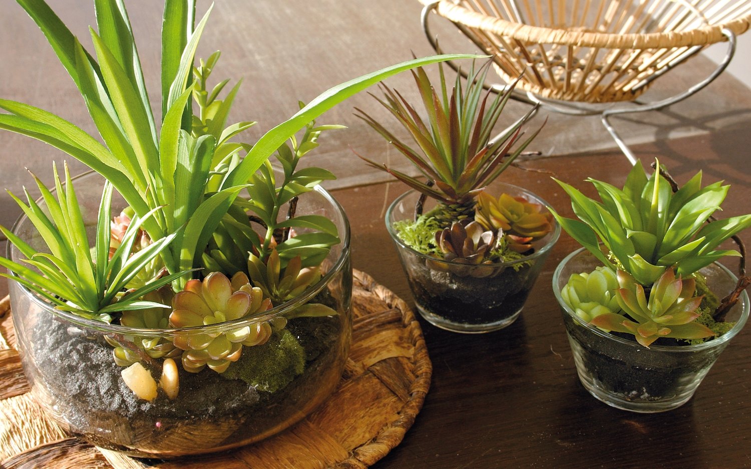 6031 883 a3 Искусственные суккуленты-микс в стеклянном горшочке, 13 см, зеленый H-andreas  - Вид №3