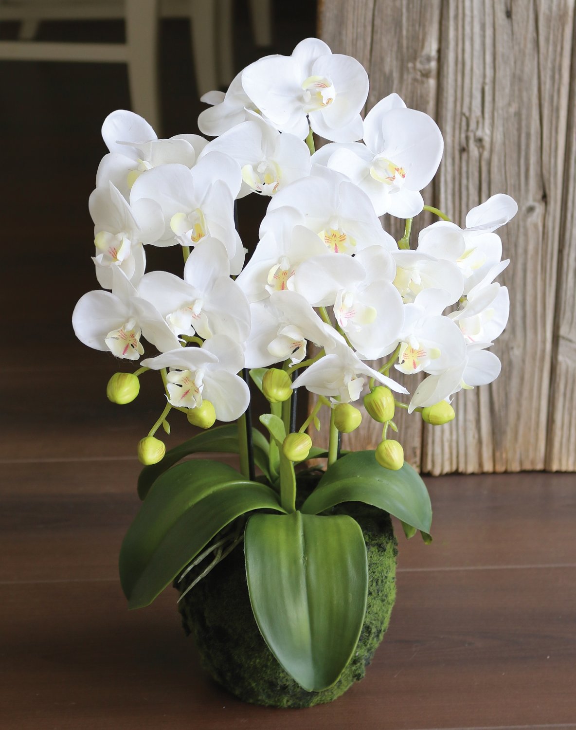 2862 777 a3 Пластиковая орхидея Phalaenopsis с 'почвой', 3-х кратная, 45 см, real touch, белая H-andreas  - Вид №3