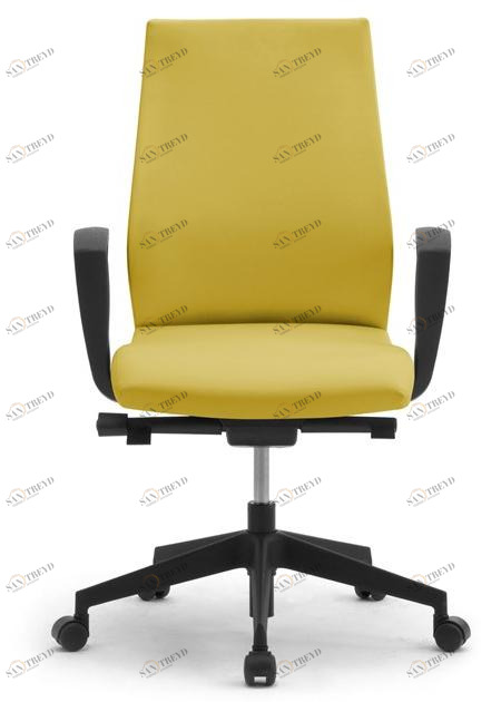 Leyform Поворотное офисное кресло из кожи с подлокотниками sun-id-1502125