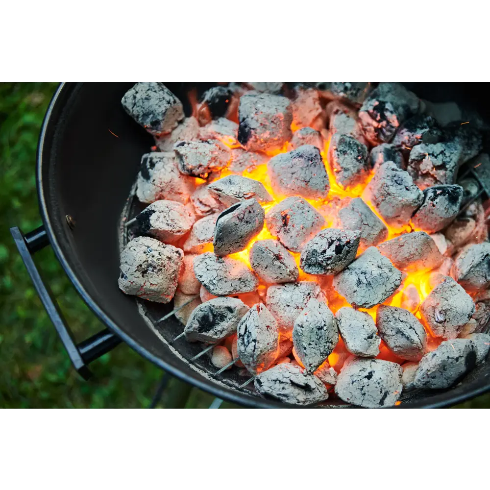 Древесно-угольные брикеты Santreyd Forester для мангала 1.8 кг 83723190 STLM-0043765 - Вид №6