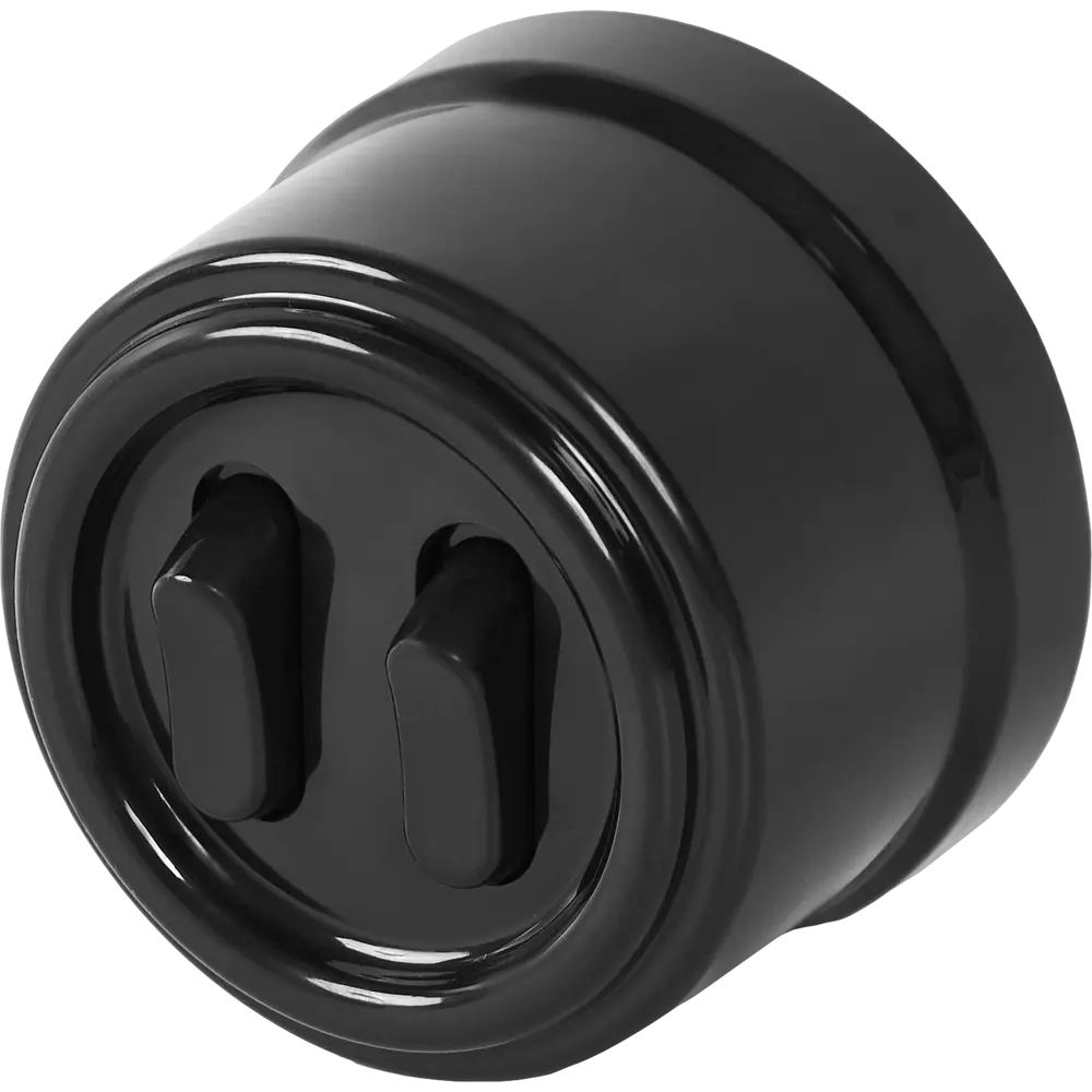 Выключатель двухклавишный Electraline черный глянцевый 84229202