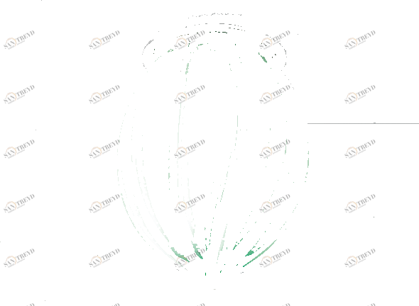 Siru Потолочный светильник из муранского стекла Pozzo Rc 119-035 