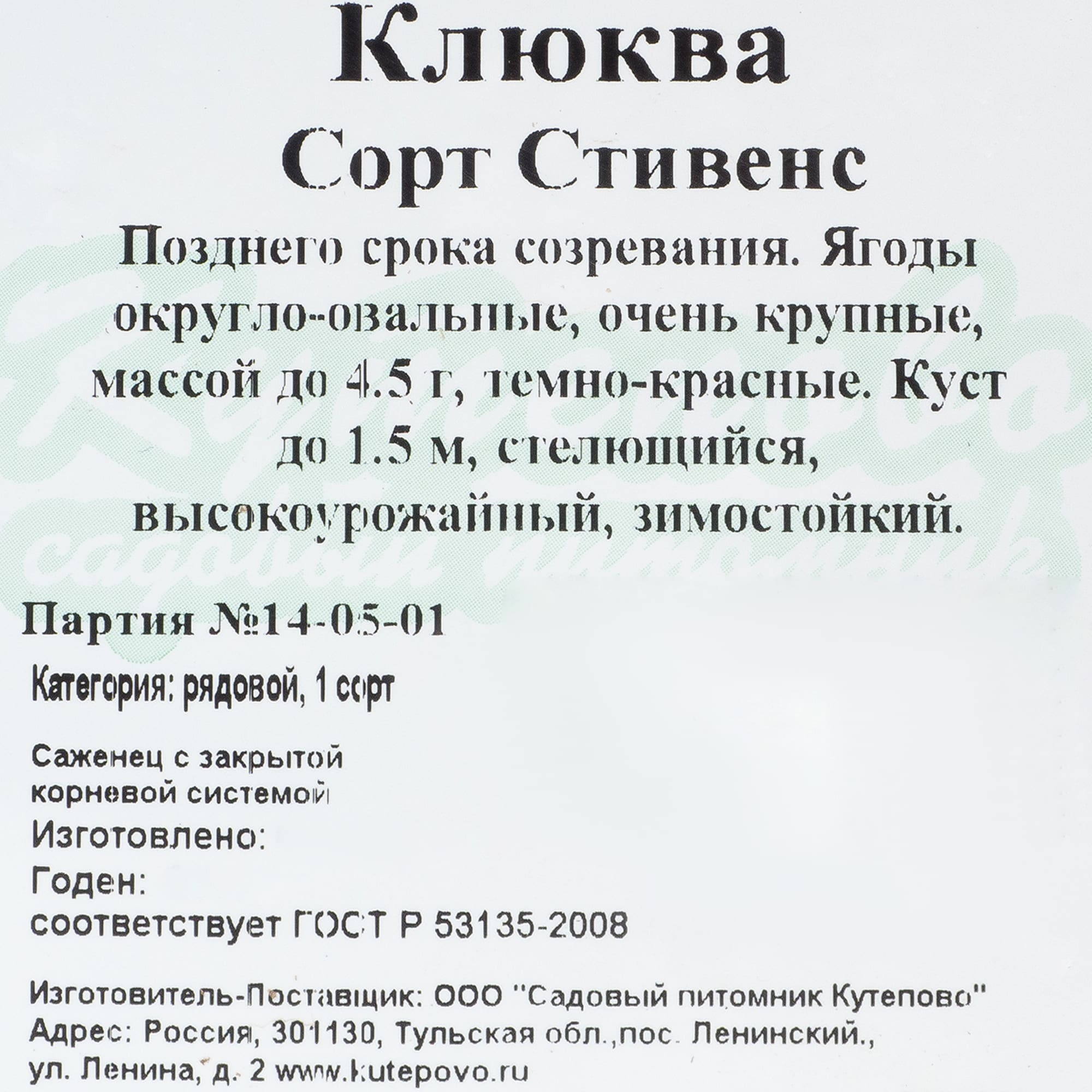 18321355 Клюква крупноплодная С1, 30 см Santreyd  - Вид №1