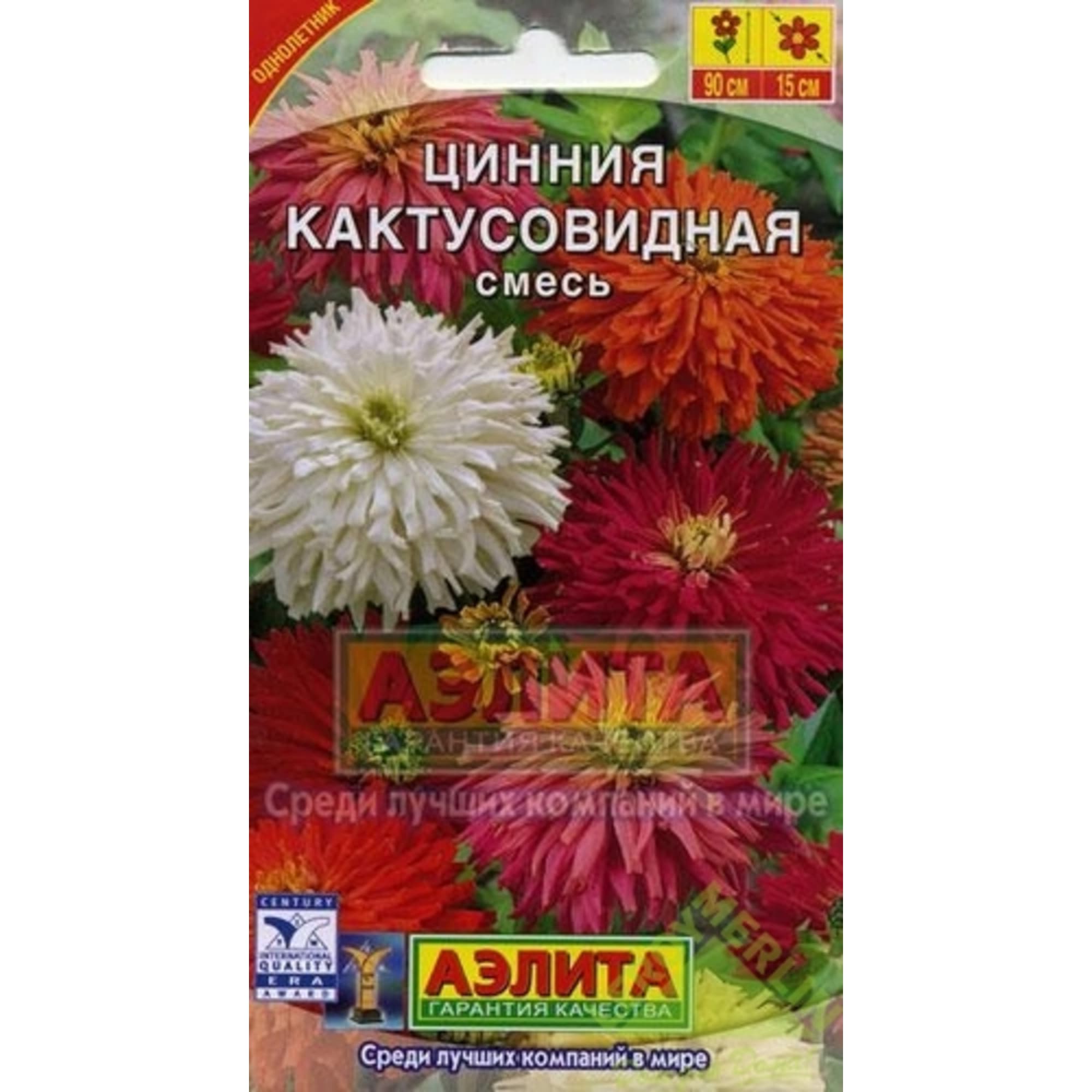 13909037 Циния кактусовидная смесь окрасок Santreyd 