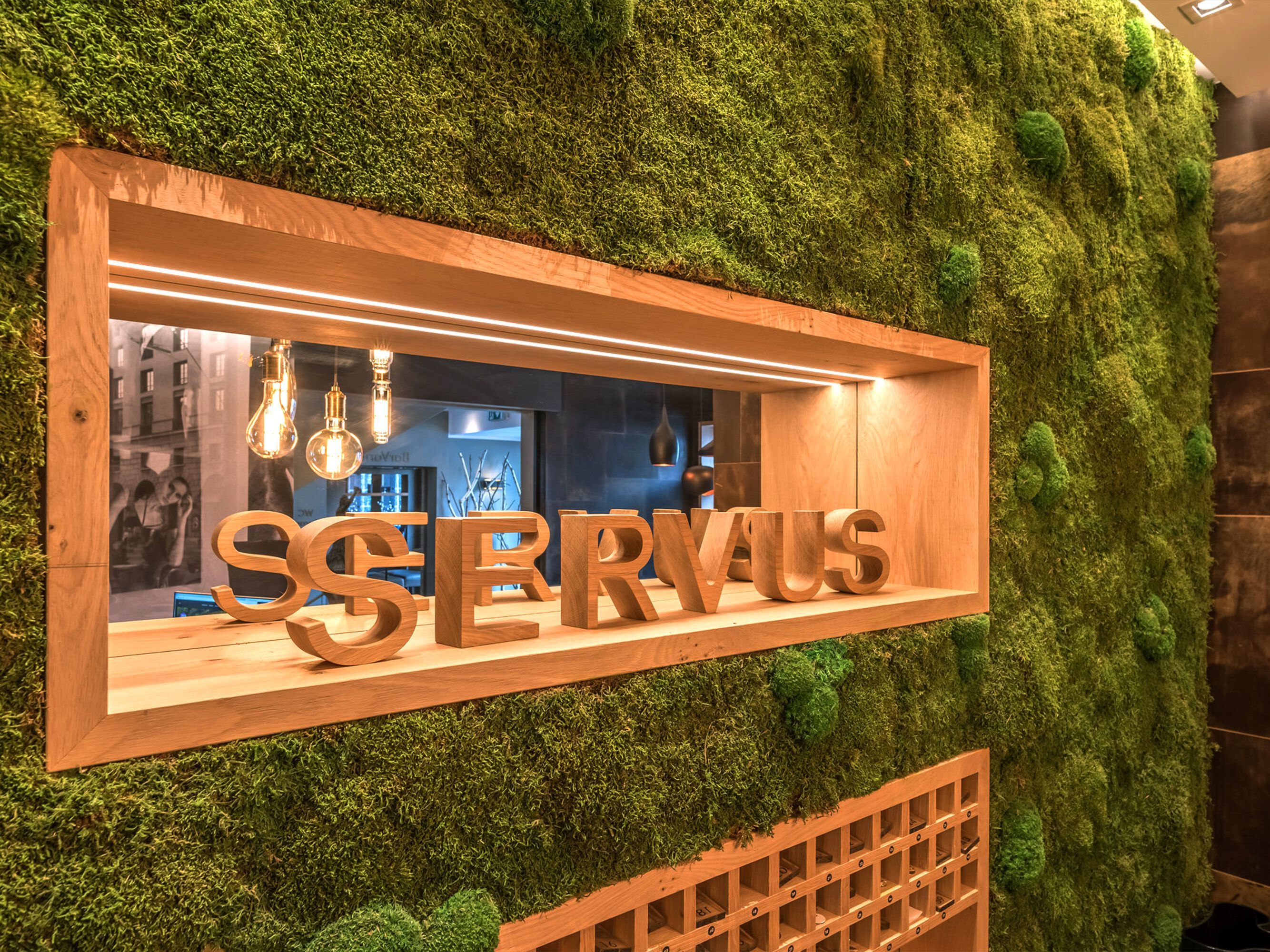 Растительная стена из мха Freund GmbH ARCH-00013792 - Вид №2