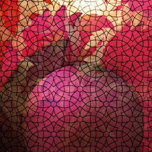 2252/CX38 Картина 2252 Adriani e Rossi