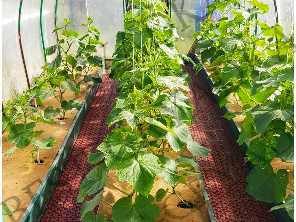 Мульча кокосовая Мульчаграм 1x10 м ГеоПластБорд GPBST-249 - Вид №9