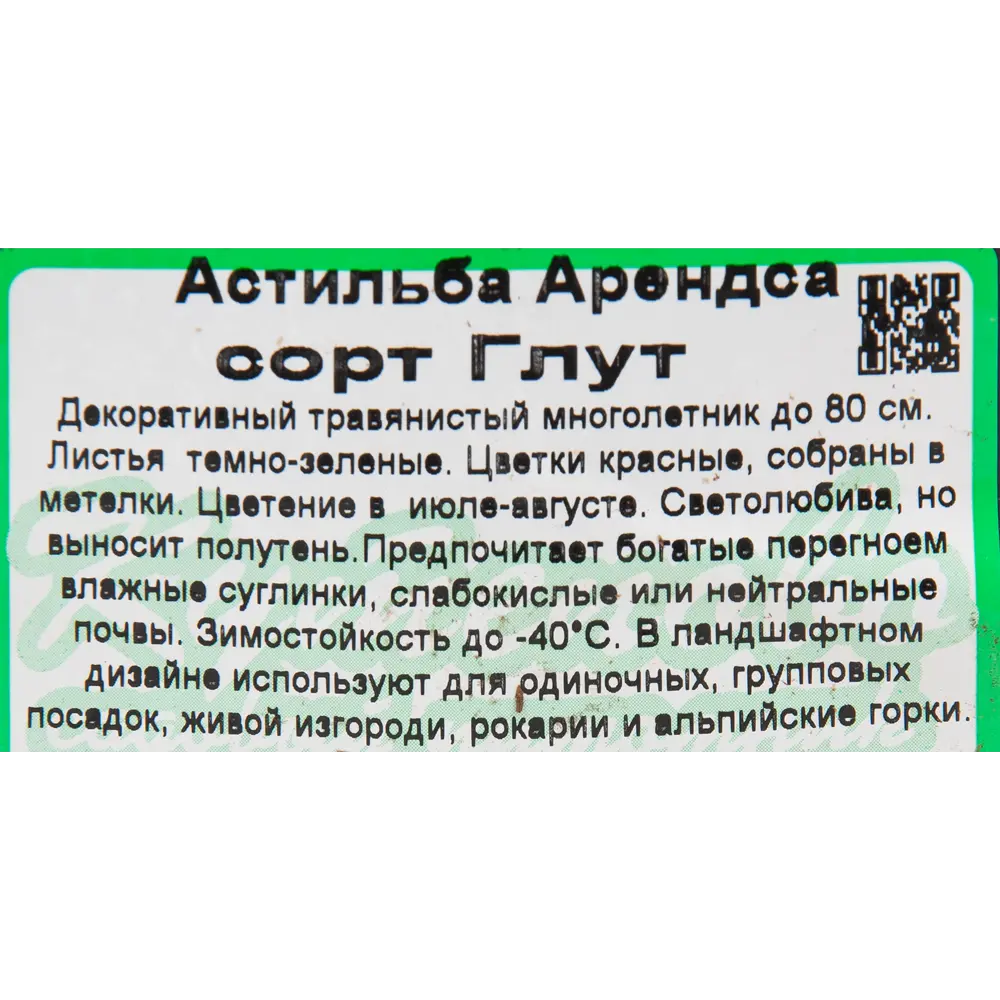 Астильба арендса С1 «Глут» 81954864 STLM-2023248 Santreyd  - Вид №2