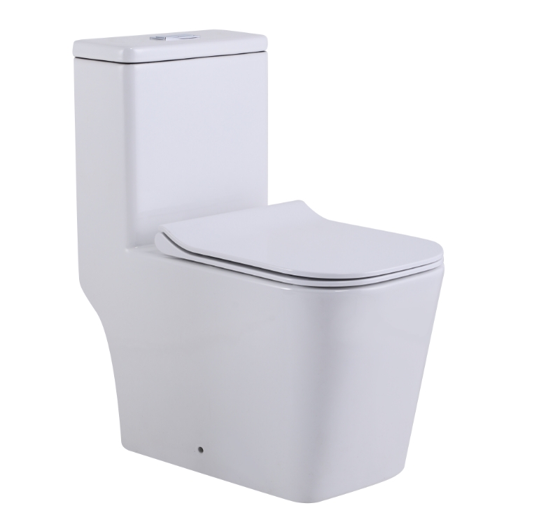 Унитазы-компакт SL-5024 SANTILINE 