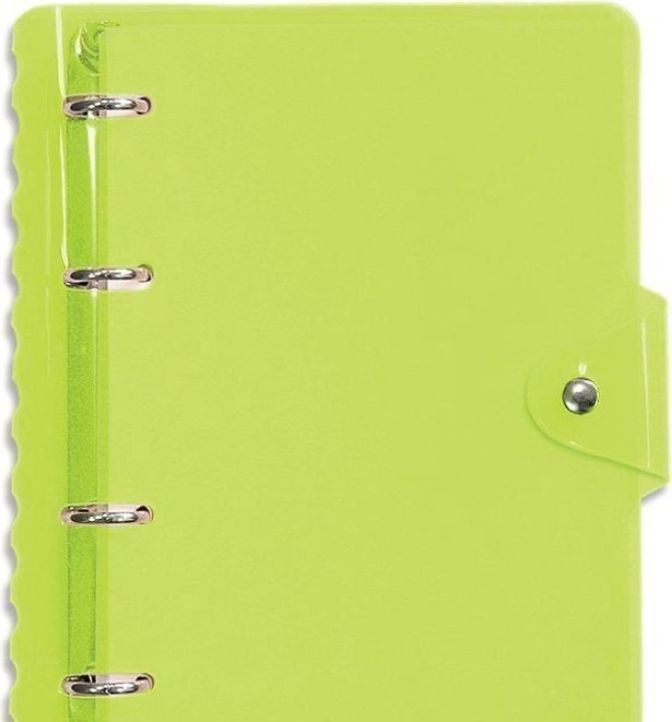 436018 Тетрадь "" с кольцевым механизмом А5 зеленая Neon Santreyd