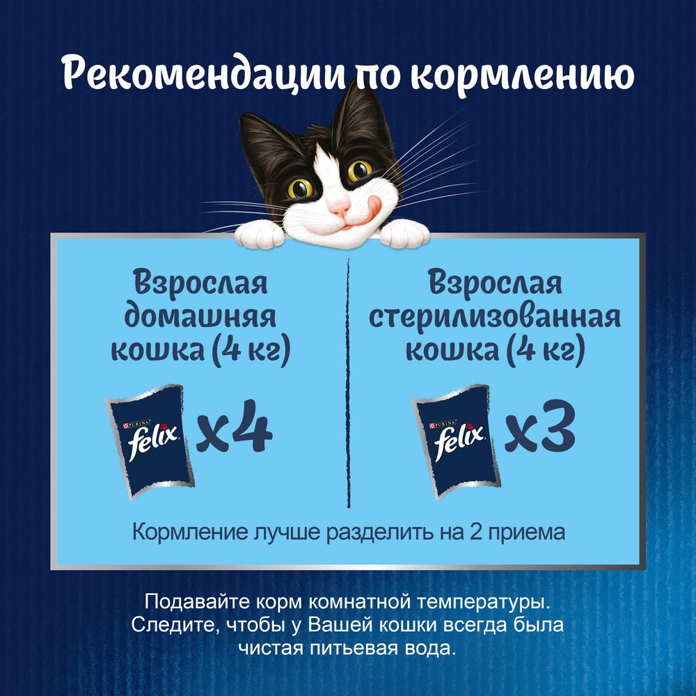 ПР0054771 Корм для кошек Sensations Супервкус говядина и сыр, в желе, пауч 75 г FELIX  - Вид №6