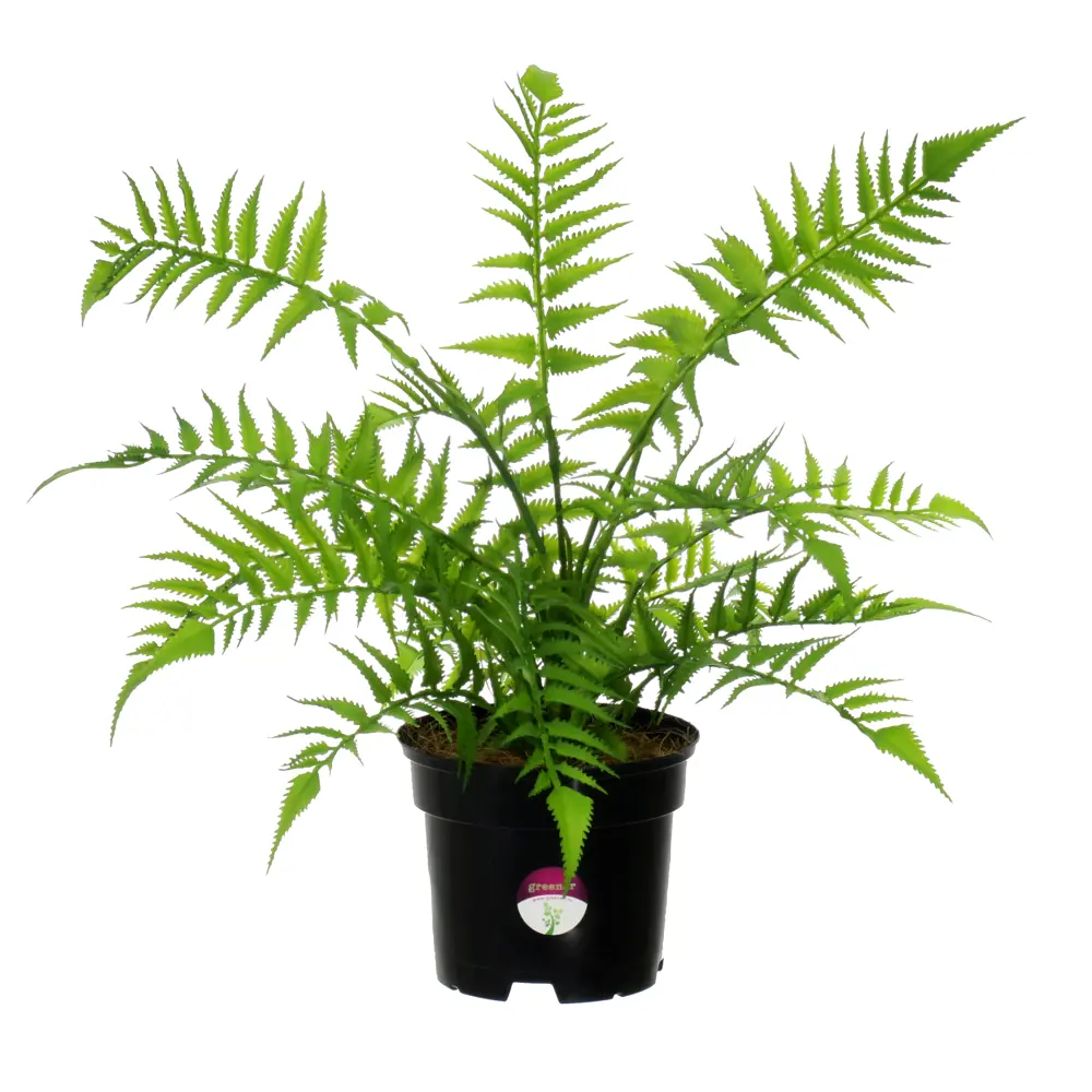 Искусственное растение Папоротник Солито ø13 h40 см Santreyd STLM-2092885