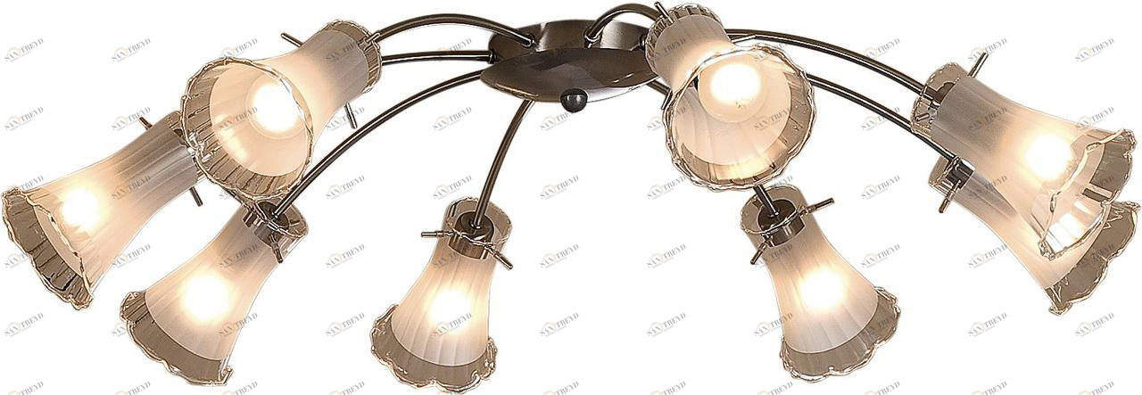 Потолочная люстра Citilux Дана CL106181 CITILUX ДАНА 182338 Белый 