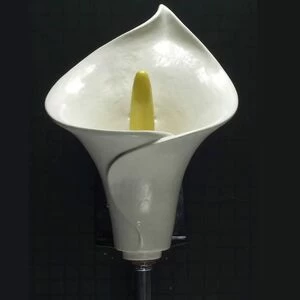 48679 Настенный писсуар, уринал с мушкой Clark Made Urinal