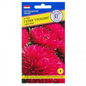 81931595 Астра «Гримлин», цвет красный