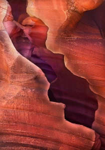 Фотокартина 50х80 см "Скорлупка" PANKOVSKY STUDIO ПЛАСТИФИКАЦИЯ 015899 Коричневый;красный;оранжевый