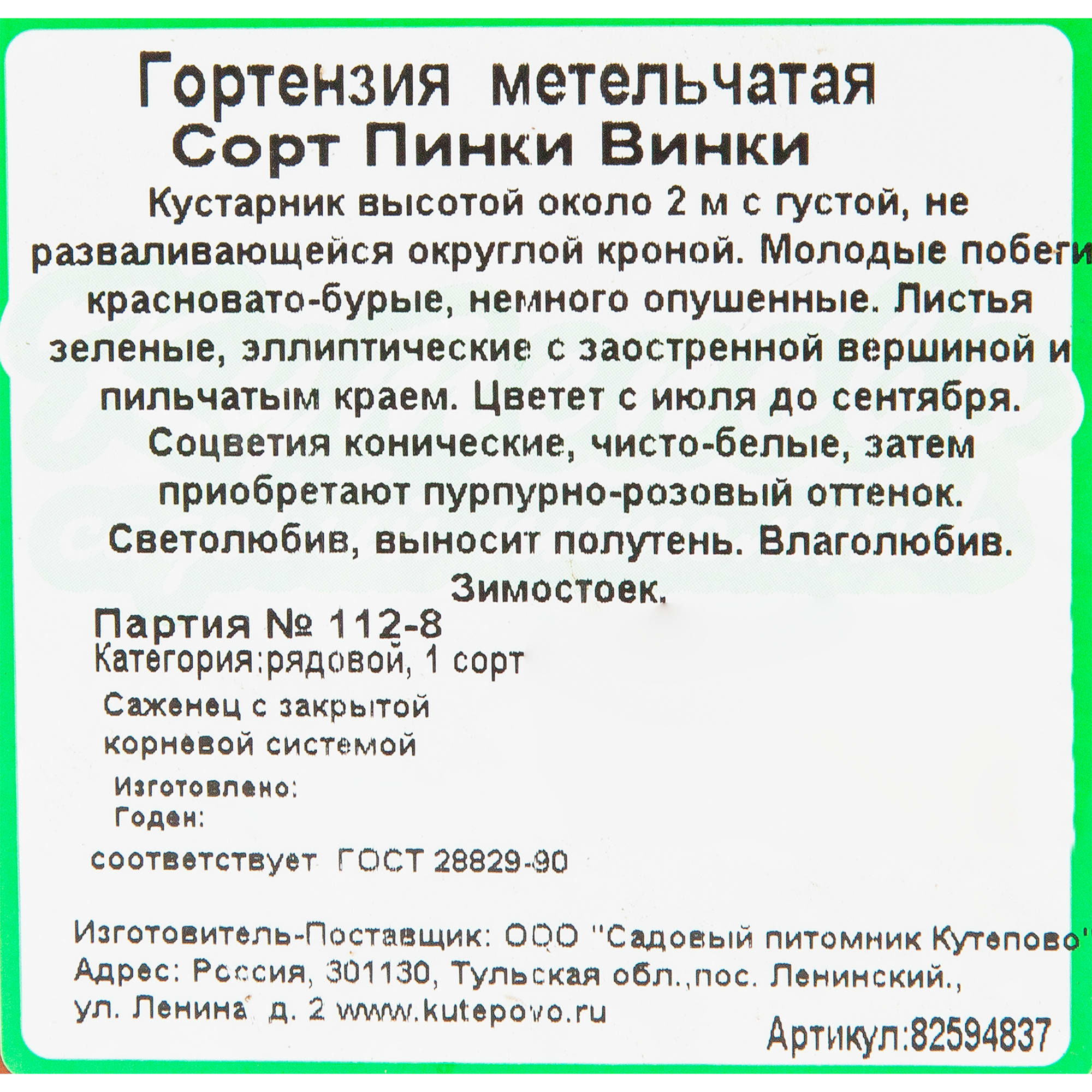 82594837 Гортензия метельчатая «Пинки Винки» 15x20 см Santreyd  - Вид №1